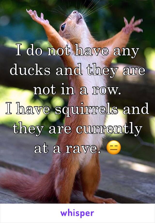 I do not have any ducks and they are not in a row. 
I have squirrels and they are currently at a rave. 😑