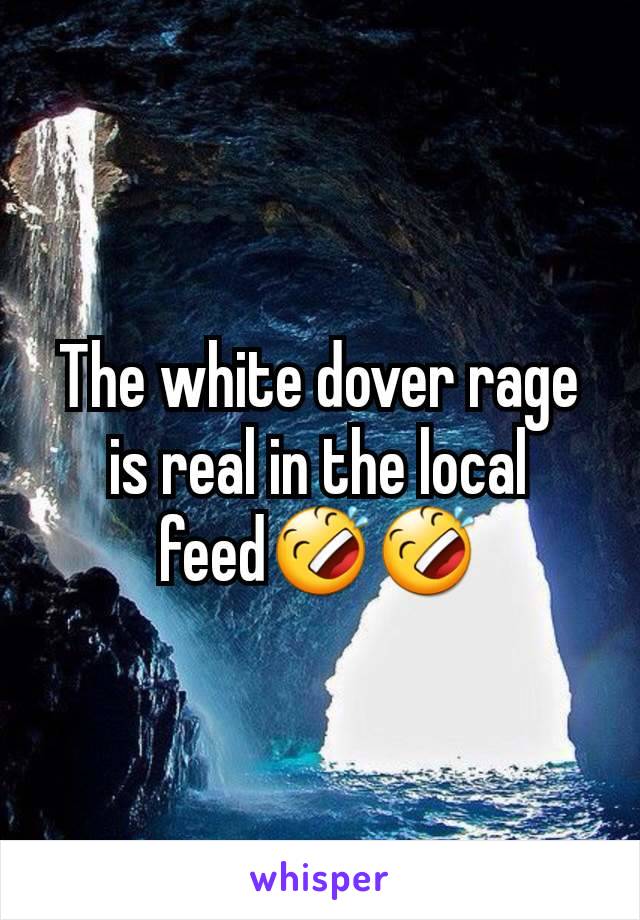 The white dover rage is real in the local feed🤣🤣