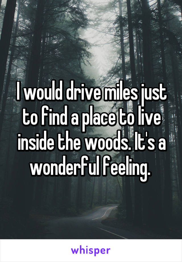 I would drive miles just to find a place to live inside the woods. It's a wonderful feeling. 