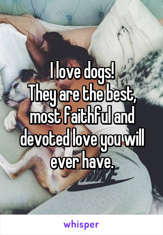 I love dogs!
They are the best, most faithful and devoted love you will ever have.