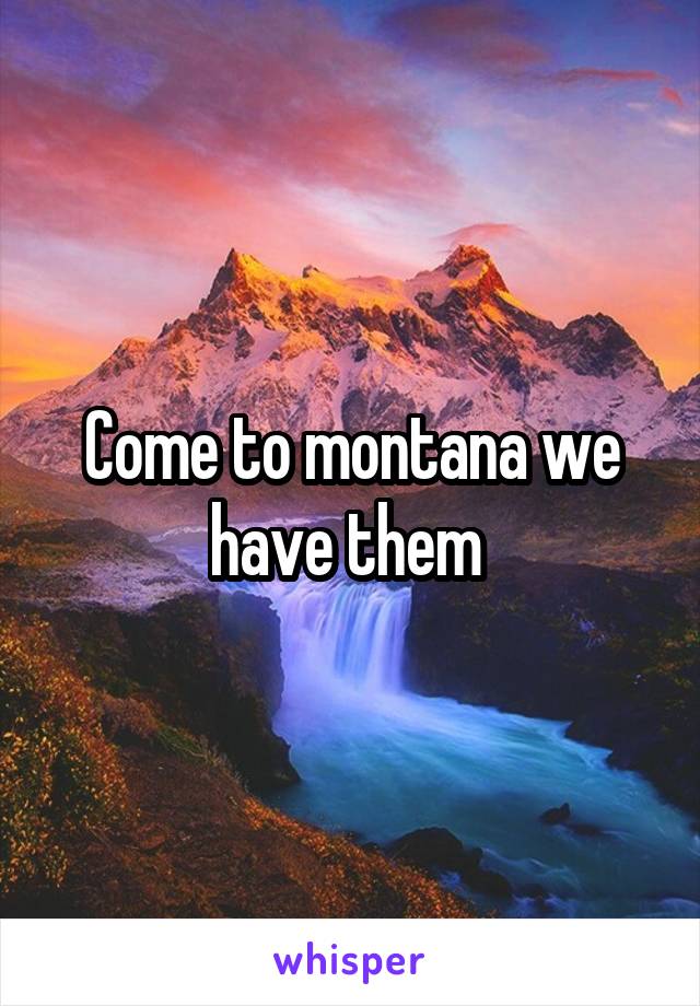 Come to montana we have them 