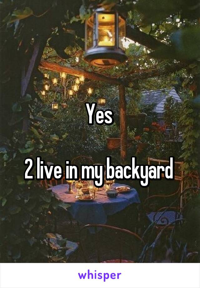 Yes 

2 live in my backyard 