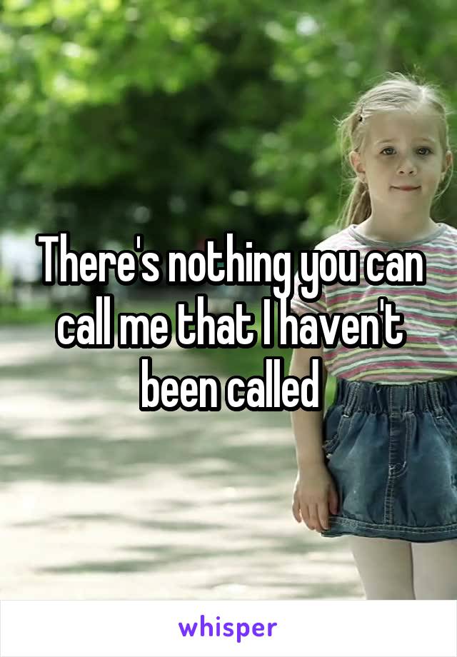 There's nothing you can call me that I haven't been called