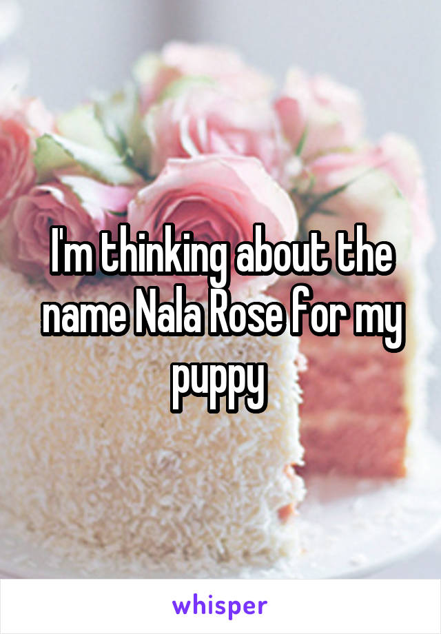 I'm thinking about the name Nala Rose for my puppy 