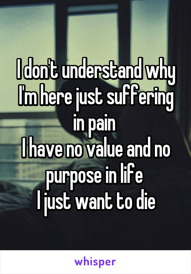 I don't understand why I'm here just suffering in pain 
I have no value and no purpose in life 
I just want to die