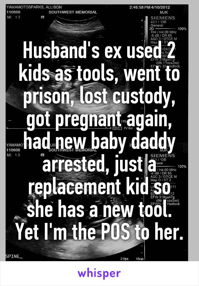 Husband's ex used 2 kids as tools, went to prison, lost custody, got pregnant again, had new baby daddy arrested, just a replacement kid so she has a new tool. Yet I'm the POS to her.