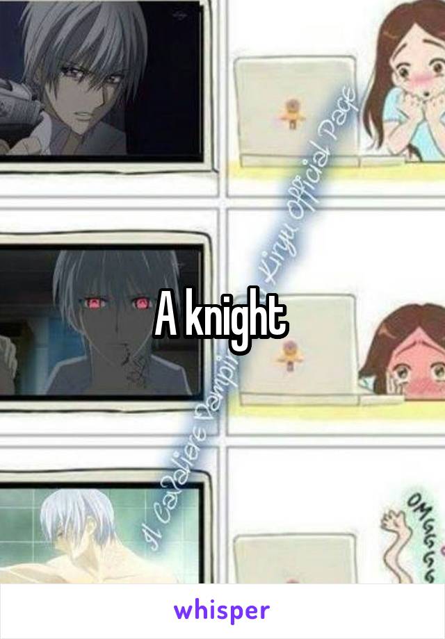 A knight 