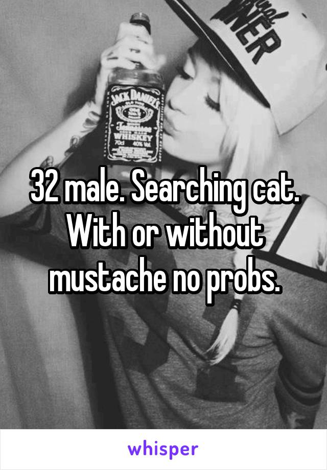 32 male. Searching cat. With or without mustache no probs.