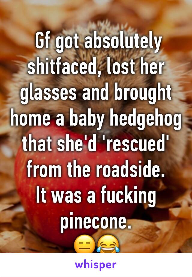  Gf got absolutely shitfaced, lost her glasses and brought home a baby hedgehog that she'd 'rescued' from the roadside. 
It was a fucking pinecone. 
😑😂