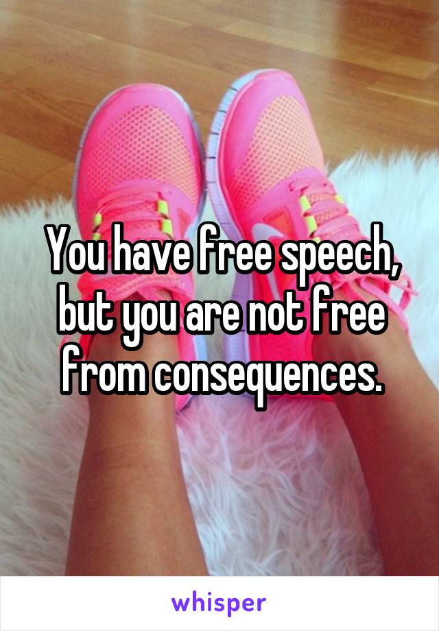 You have free speech, but you are not free from consequences.