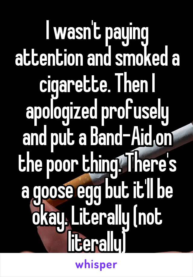 I wasn't paying attention and smoked a cigarette. Then I apologized profusely and put a Band-Aid on the poor thing. There's a goose egg but it'll be okay. Literally (not literally)