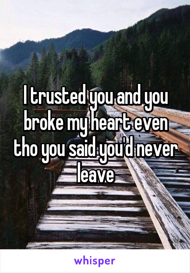 I trusted you and you broke my heart even tho you said you'd never leave