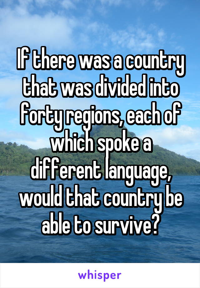 If there was a country that was divided into forty regions, each of which spoke a different language, would that country be able to survive?
