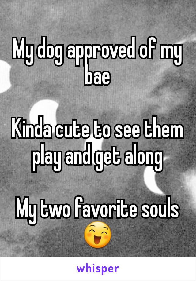My dog approved of my bae

Kinda cute to see them play and get along

My two favorite souls 😄