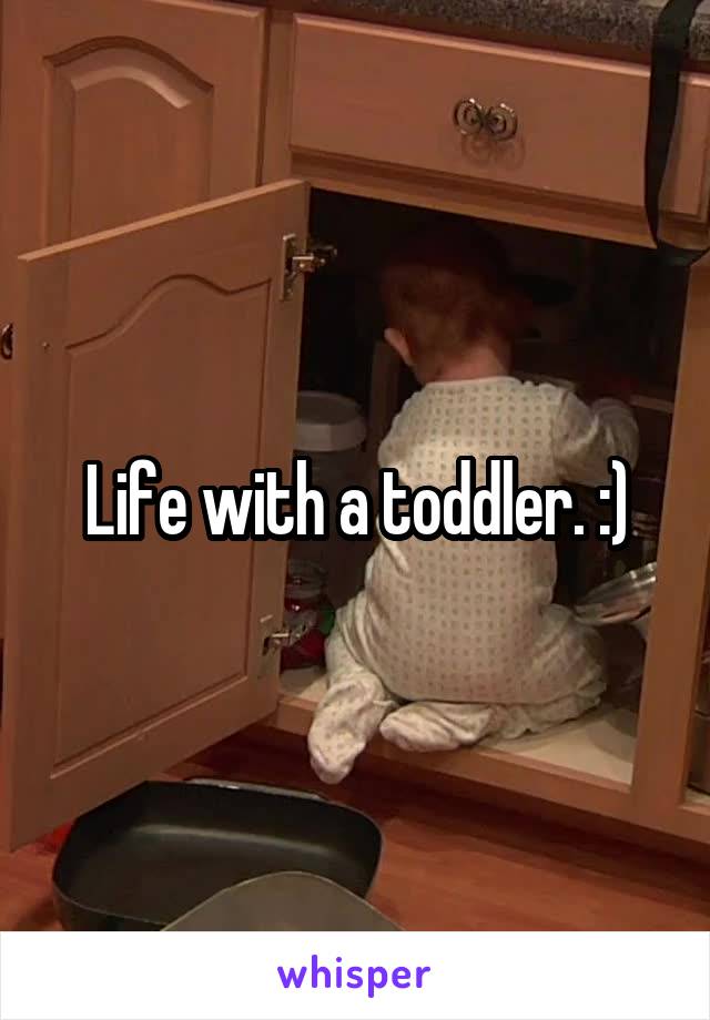 Life with a toddler. :)