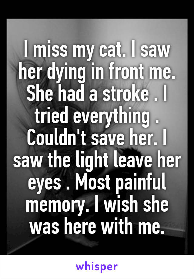 I miss my cat. I saw her dying in front me. She had a stroke . I tried everything . Couldn't save her. I saw the light leave her eyes . Most painful memory. I wish she was here with me.