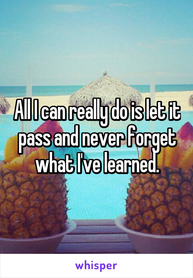 All I can really do is let it pass and never forget what I've learned.