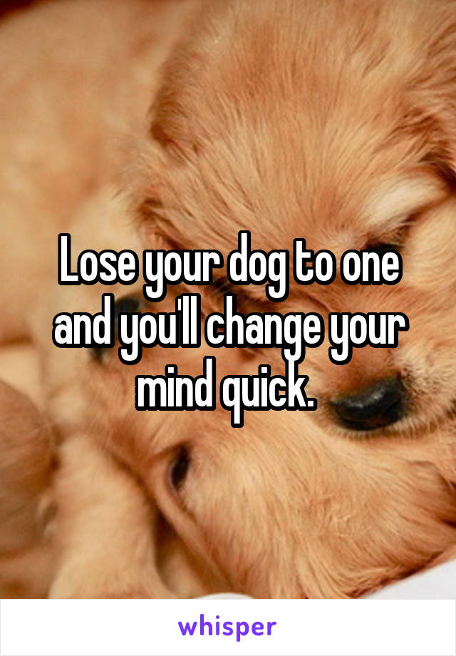 Lose your dog to one and you'll change your mind quick. 