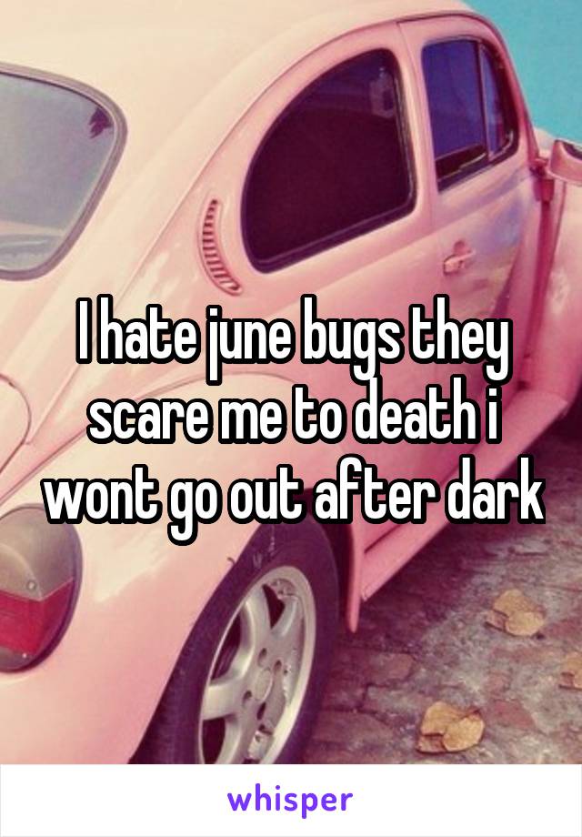 I hate june bugs they scare me to death i wont go out after dark