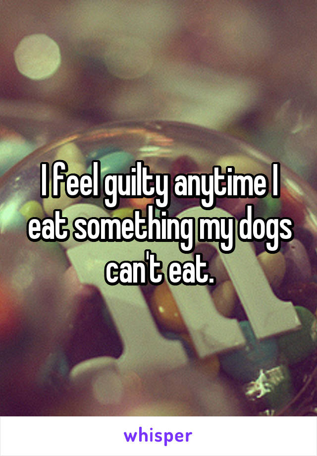 I feel guilty anytime I eat something my dogs can't eat.