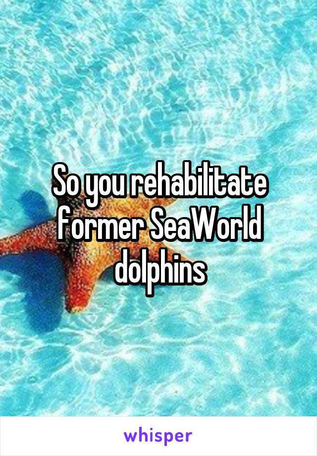 So you rehabilitate former SeaWorld dolphins