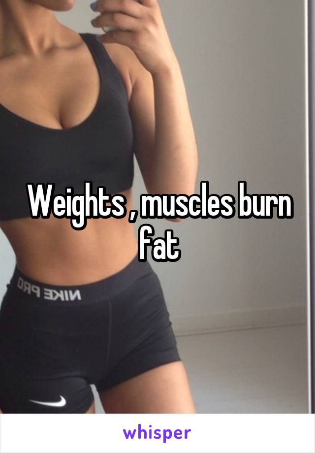 Weights , muscles burn fat