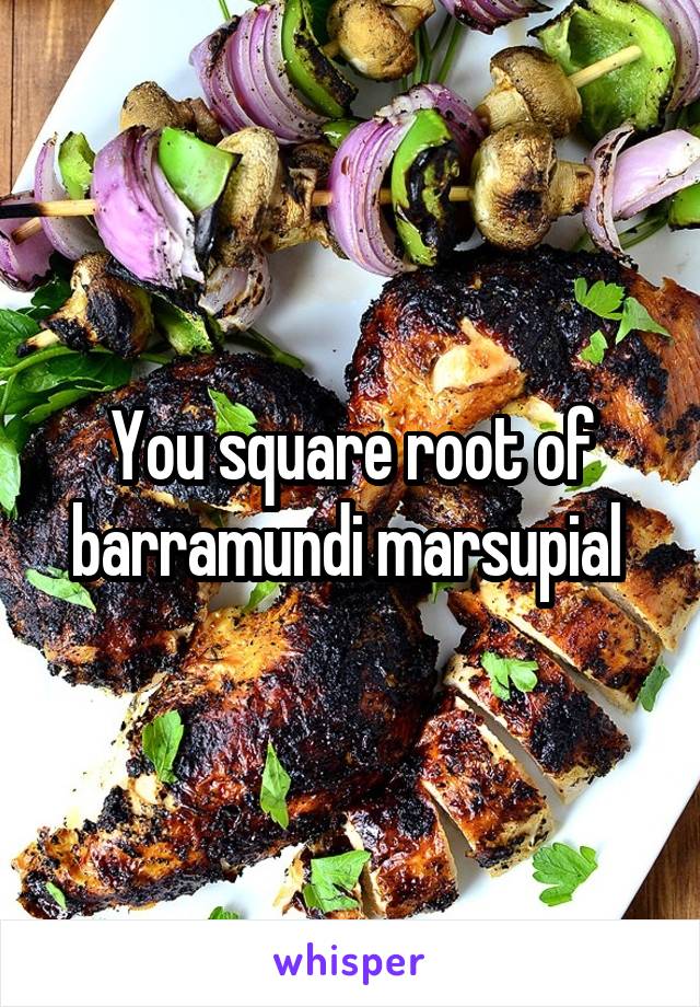 You square root of barramundi marsupial 