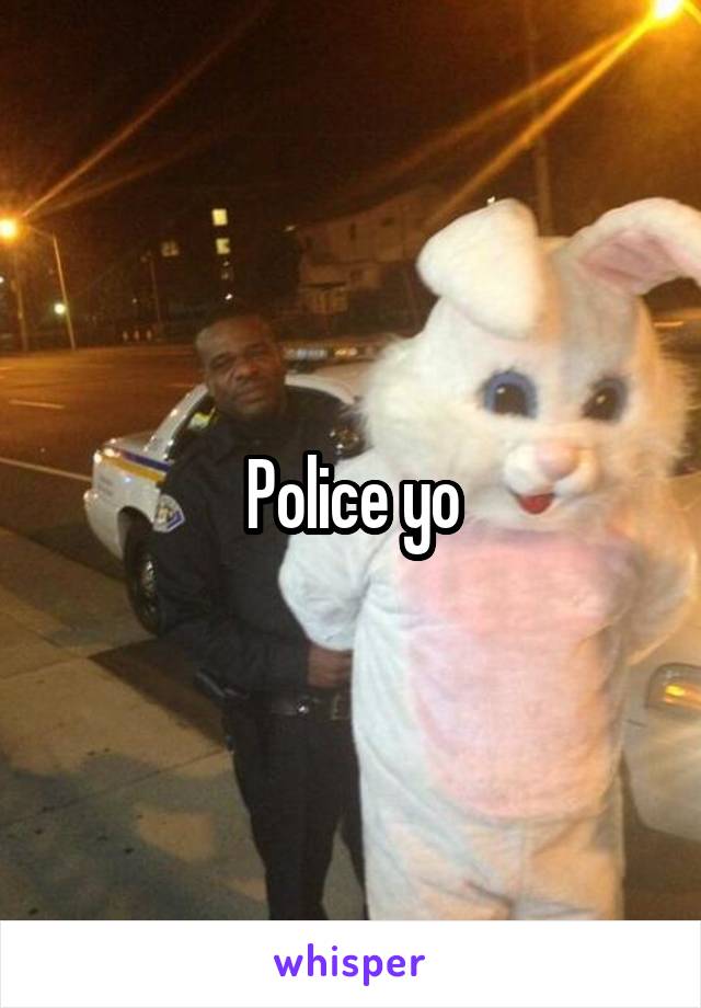 Police yo