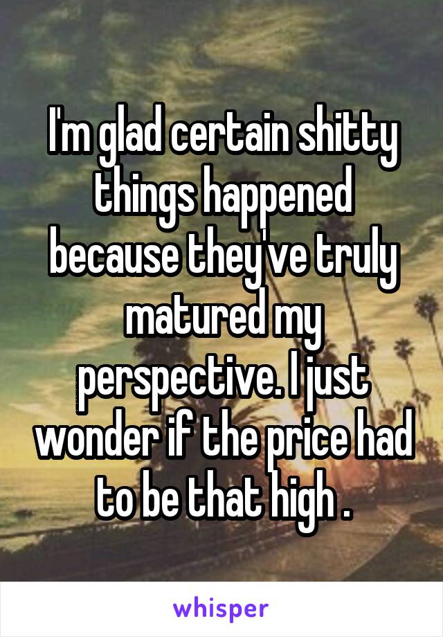 I'm glad certain shitty things happened because they've truly matured my perspective. I just wonder if the price had to be that high .