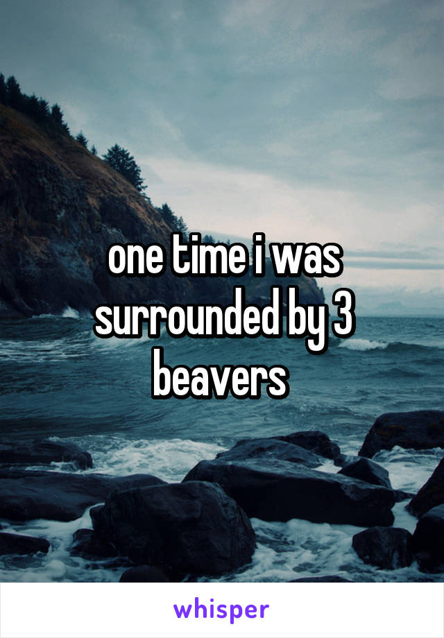 one time i was surrounded by 3 beavers 