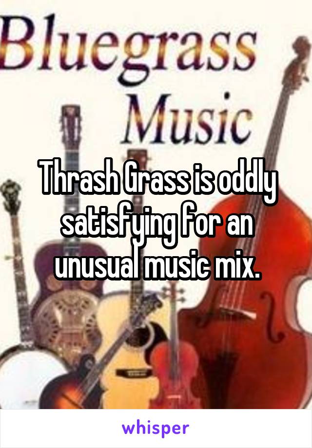 Thrash Grass is oddly satisfying for an unusual music mix.