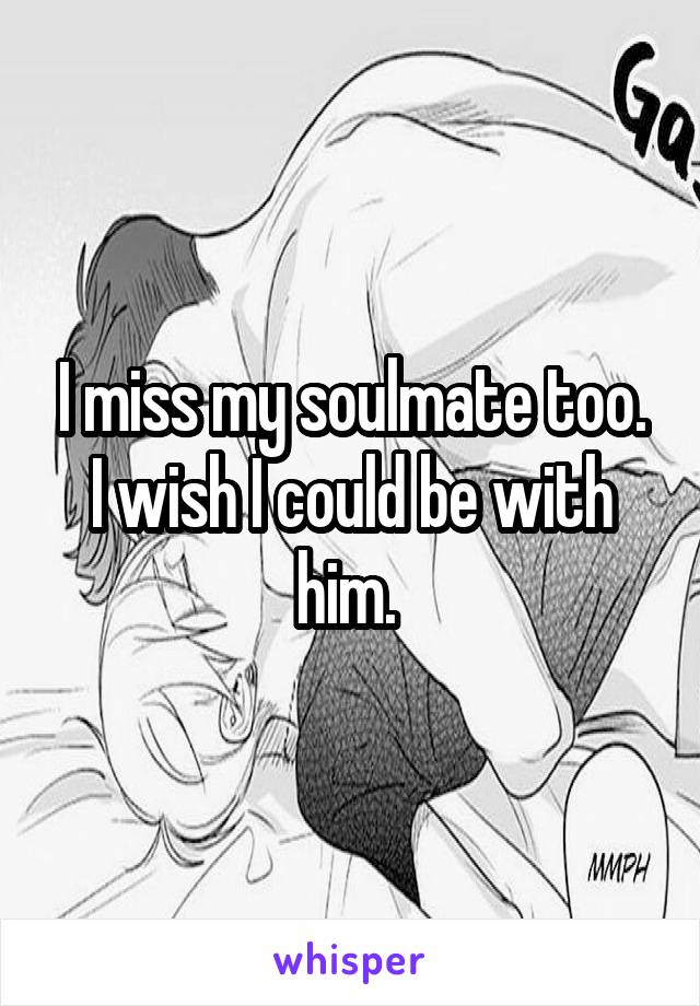I miss my soulmate too. I wish I could be with him. 