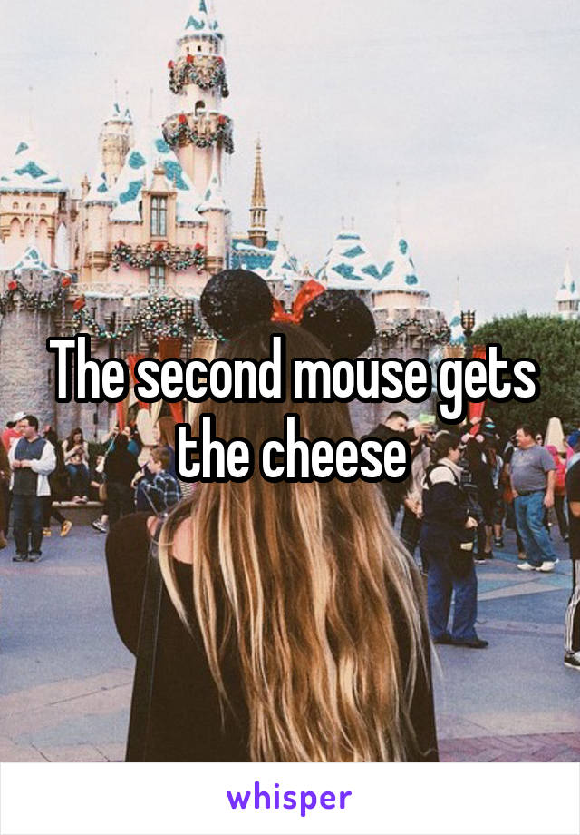 The second mouse gets the cheese