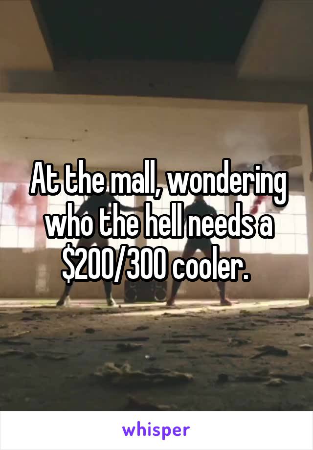 At the mall, wondering who the hell needs a $200/300 cooler. 