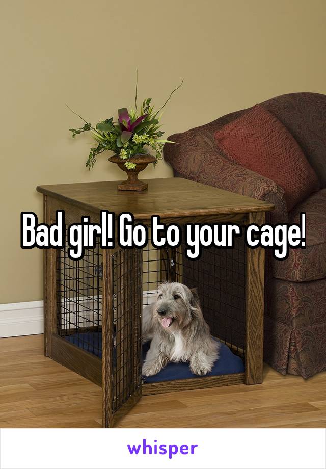 Bad girl! Go to your cage!