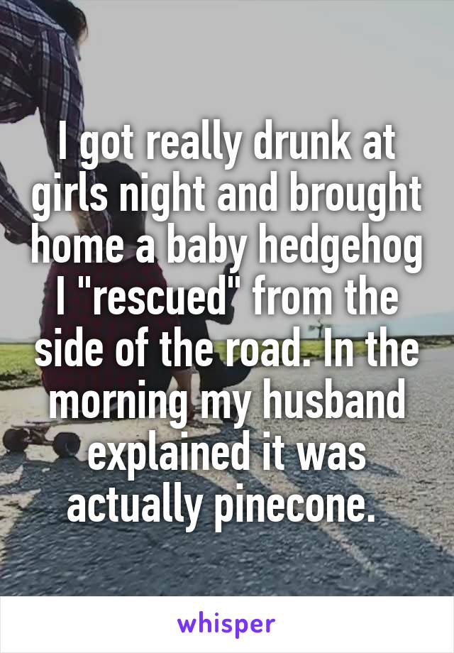 I got really drunk at girls night and brought home a baby hedgehog I "rescued" from the side of the road. In the morning my husband explained it was actually pinecone. 