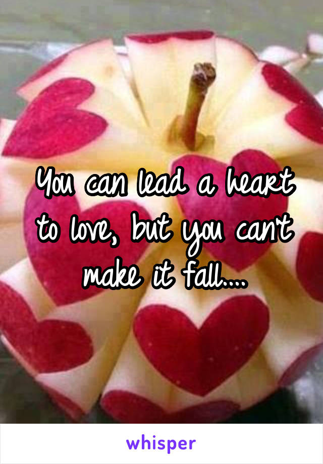 You can lead a heart to love, but you can't make it fall....