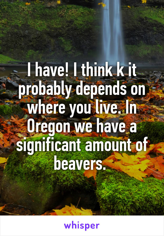 I have! I think k it probably depends on where you live. In Oregon we have a significant amount of beavers. 