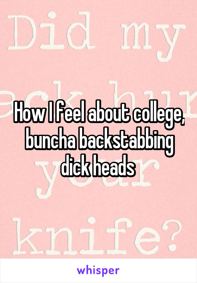 How I feel about college, buncha backstabbing dick heads 
