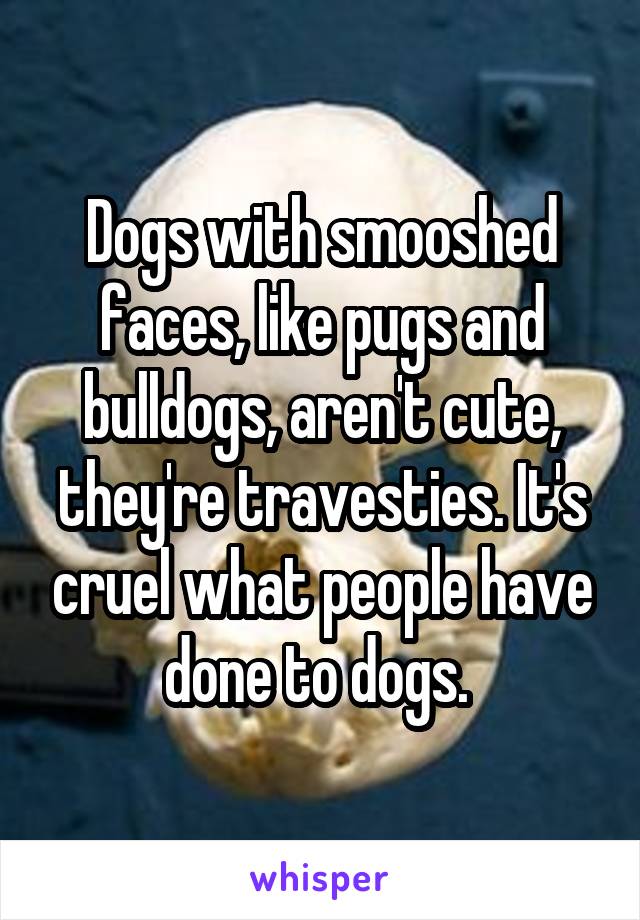 Dogs with smooshed faces, like pugs and bulldogs, aren't cute, they're travesties. It's cruel what people have done to dogs. 