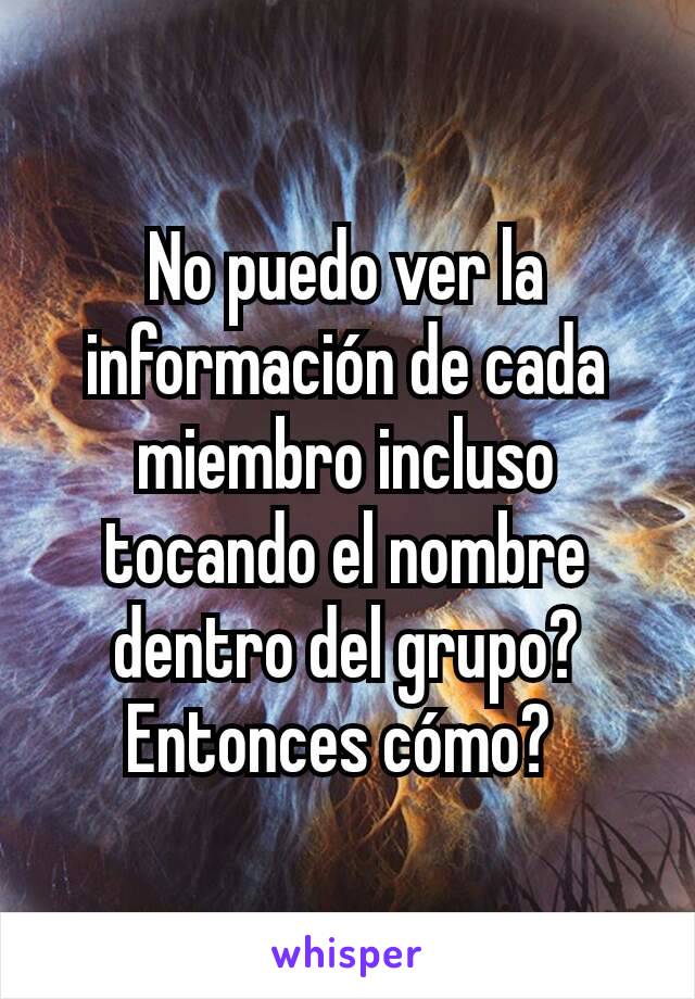 No puedo ver la información de cada miembro incluso tocando el nombre dentro del grupo? Entonces cómo? 