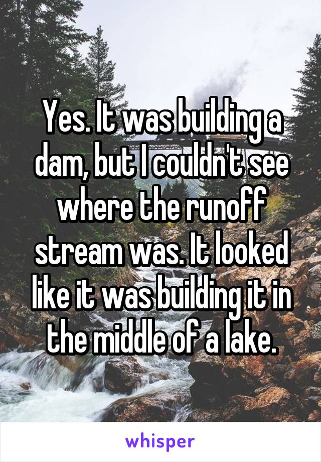 Yes. It was building a dam, but I couldn't see where the runoff stream was. It looked like it was building it in the middle of a lake.