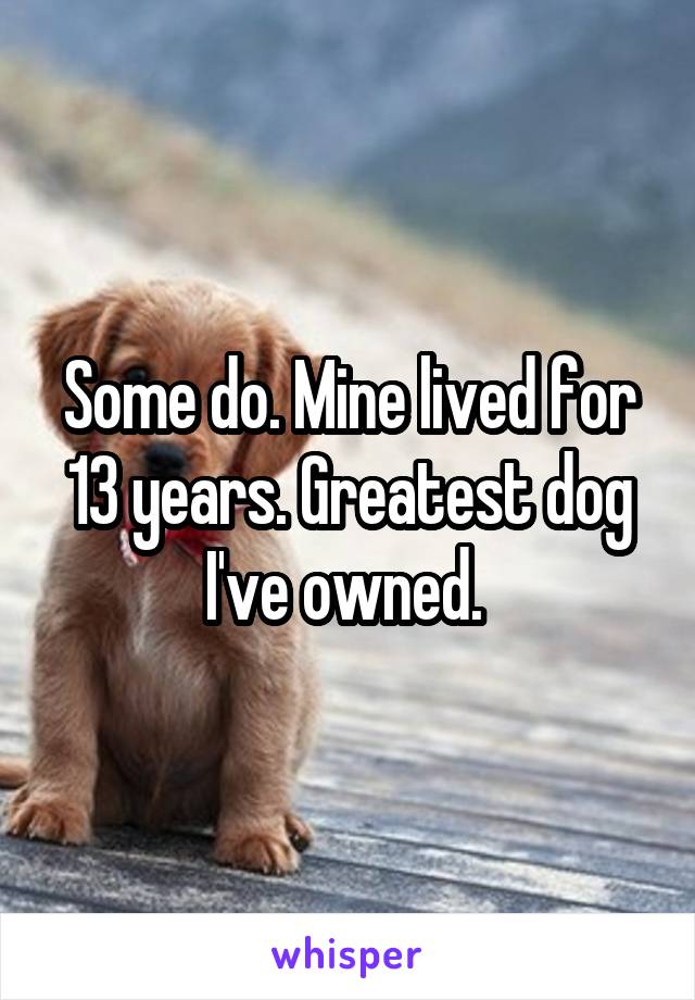 Some do. Mine lived for 13 years. Greatest dog I've owned. 