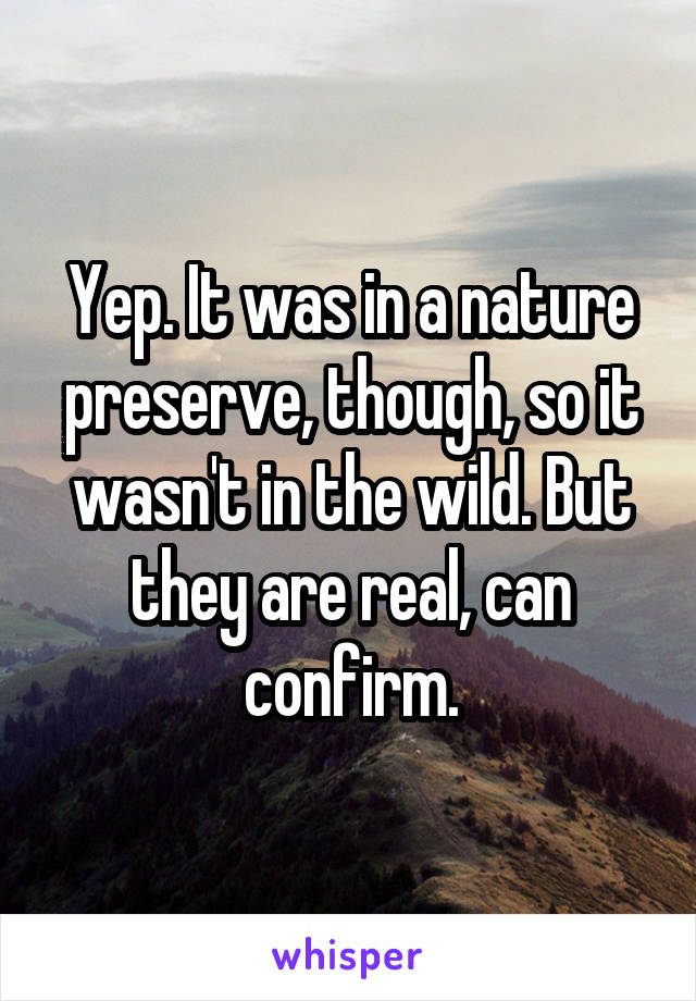 Yep. It was in a nature preserve, though, so it wasn't in the wild. But they are real, can confirm.
