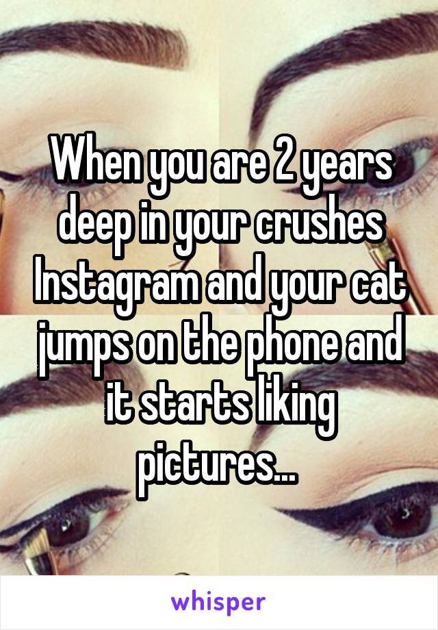 When you are 2 years deep in your crushes Instagram and your cat jumps on the phone and it starts liking pictures... 