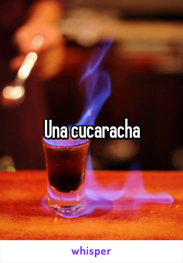 Una cucaracha