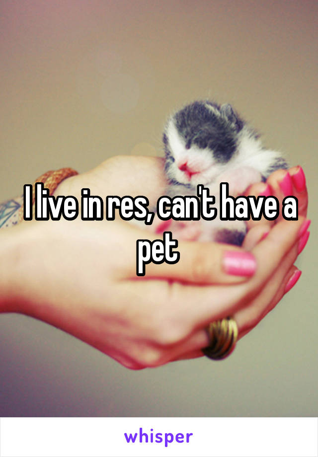 I live in res, can't have a pet 