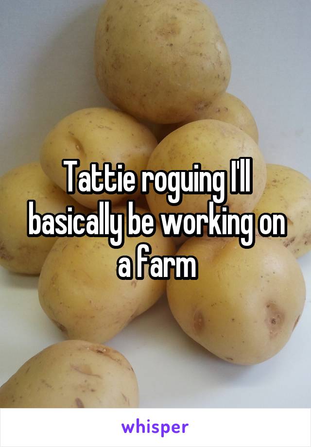 Tattie roguing I'll basically be working on a farm