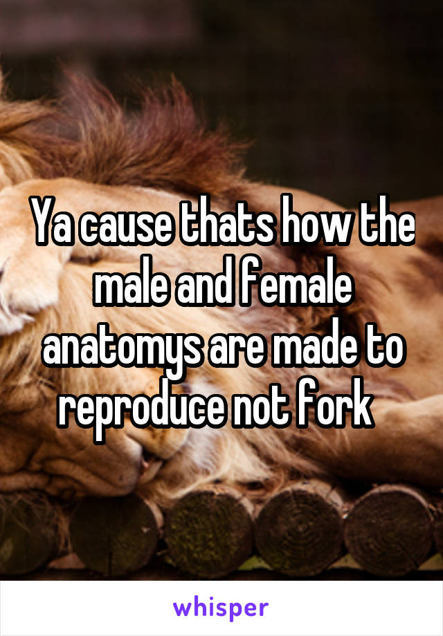 Ya cause thats how the male and female
anatomys are made to reproduce not fork  