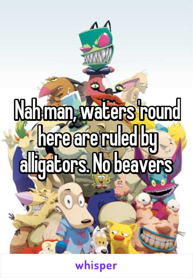 Nah man, waters 'round here are ruled by alligators. No beavers 